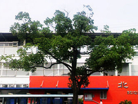 Beiqiao Station Beiqiao Station