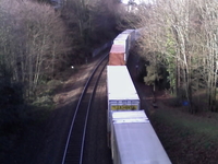 Kiwanis Ravine