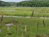 William T Davis Wildlife Refuge William T Davis Wildlife Refuge