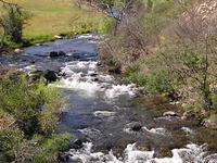Brindabella Ranges
