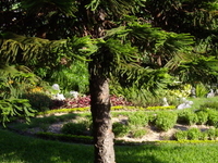 Morse Park Morse Park
