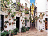 Calleja de las Flores Alley Calleja de las Flores Alley