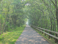 Cape Cod Rail Trail