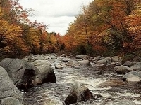 Carrabassett River