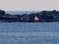 Cat Island