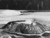 Cauliflower Geyser