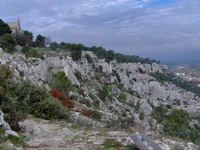 Cavaellon