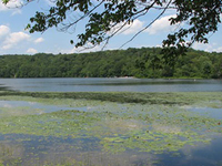 Cedar Lake Cedar Lake