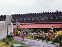Cellular Jail