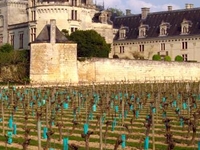 Chateau de Breze Chateau de Breze