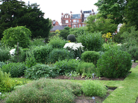 Chelsea Physic Garden Chelsea Physic Garden