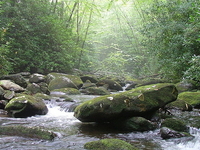Cherokee National Forest