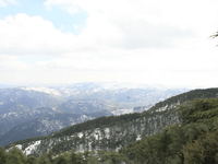Chrea National Park