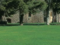 Citadel of Roses