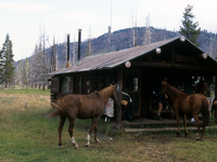 Cold Creek Patrol Cabin Cold Creek Patrol Cabin