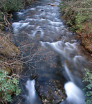 Coleman River