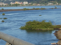 Biobio River