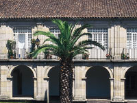 Convento de Santo Domingo