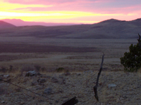 Cookes Range
