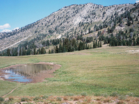 Cornucopia Peak