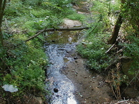 Cow Yard Brook Cow Yard Brook