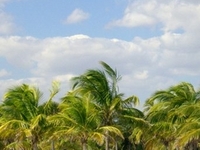 Crandon Park Crandon Park
