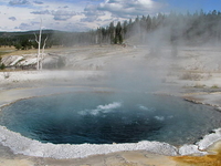 Crested Pool
