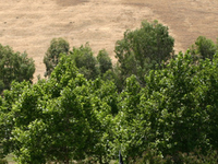 San Joaquin Valley National Cemetery San Joaquin Valley National Cemetery