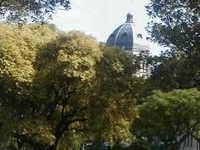 Carlton Gardens