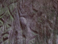 Edakkal