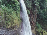 Diria National Park Diria National Park