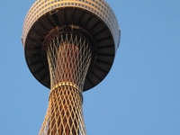 Sydney Tower Sydney Tower