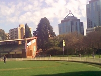 Chatswood Oval