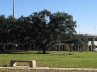 Tad Gormley Stadium Tad Gormley Stadium
