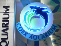 COEX Aquarium
