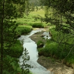 DeLacy Creek