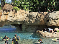 Discovery Cove Discovery Cove