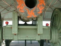 Jaivana Cannon