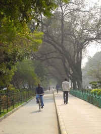Excellent Biking Path