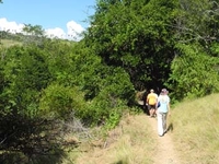 Rinca Loh Buaya Trail