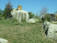 Dallas Zoo