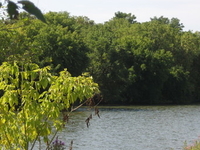 Desjardins Canal Desjardins Canal