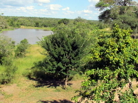 Djuma Game Reserve