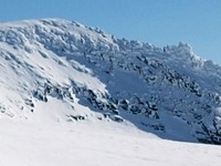 Dronningkrona