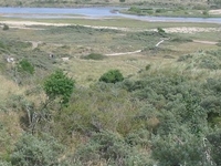 Zuid-Kennemerland National Park
