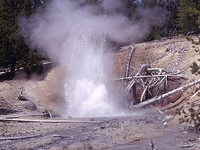 Ebony Geyser