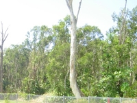 Edge Hill State School