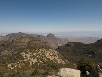 Emory Peak Trail