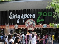 Singapore Zoo Singapore Zoo