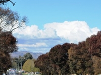 East Albury